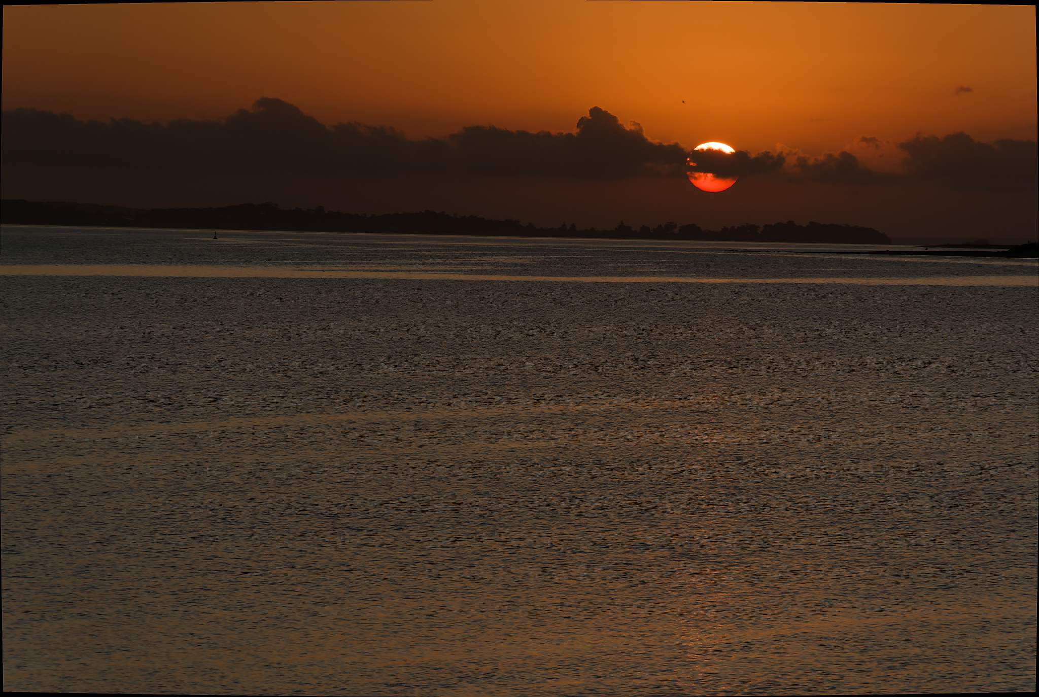 19 February 2023   0272fotosbyme p1